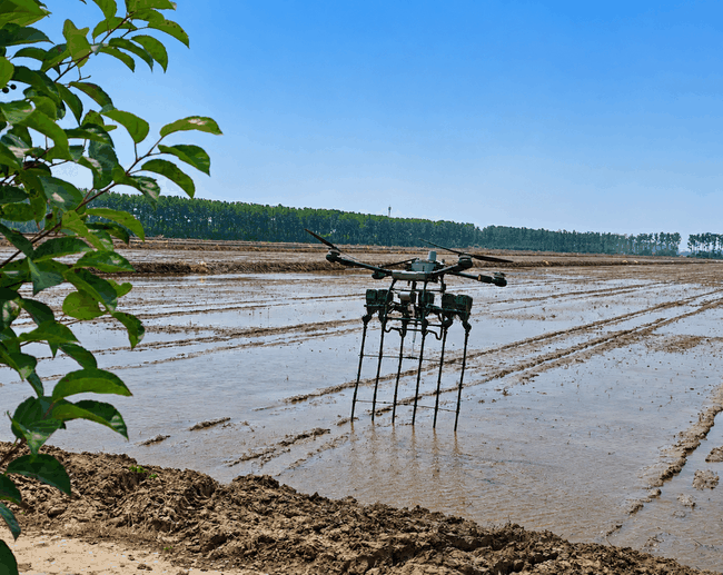 Precision Row Seeding Module applications overview 4